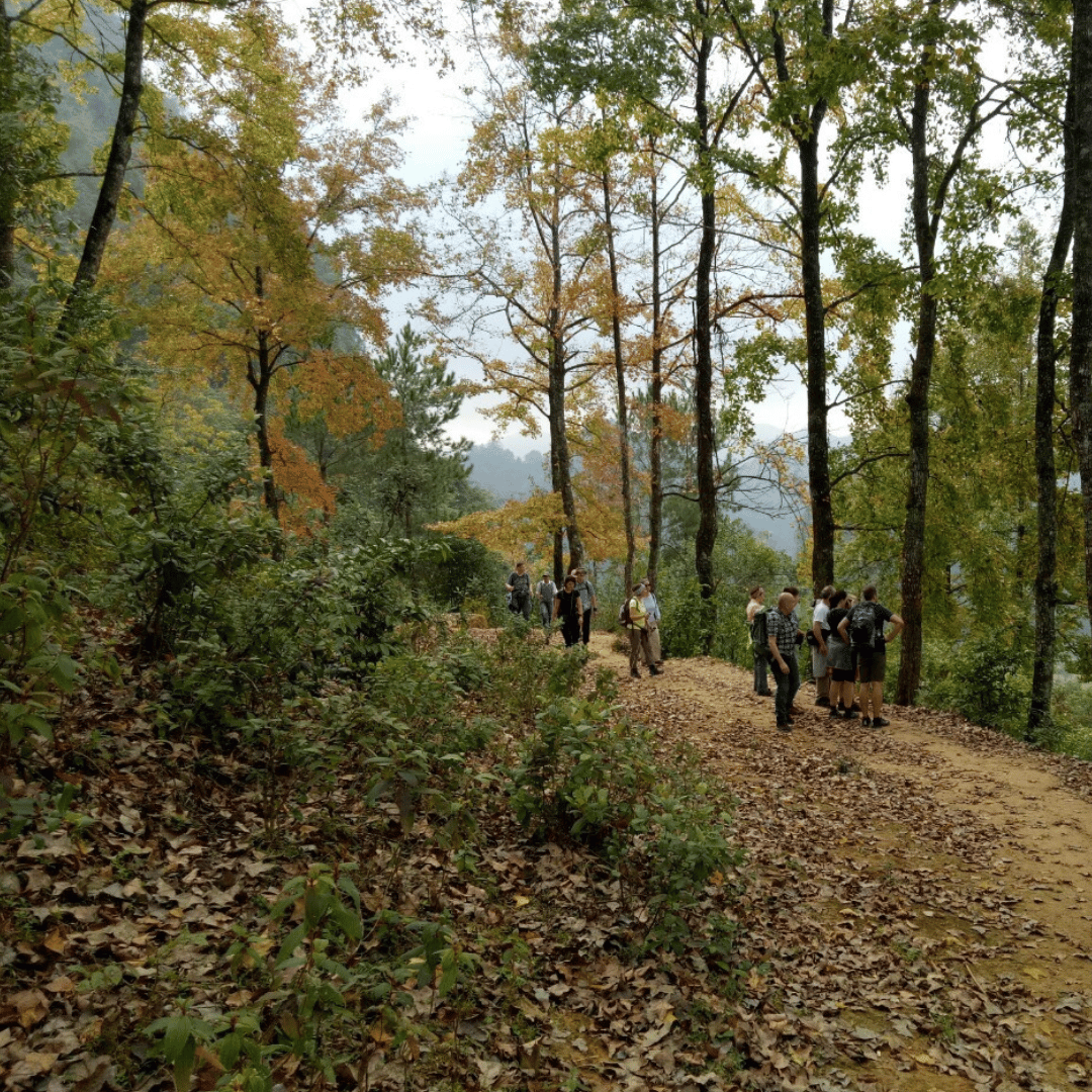 15 Days Fantastic Trekking Experience in Cao Bang